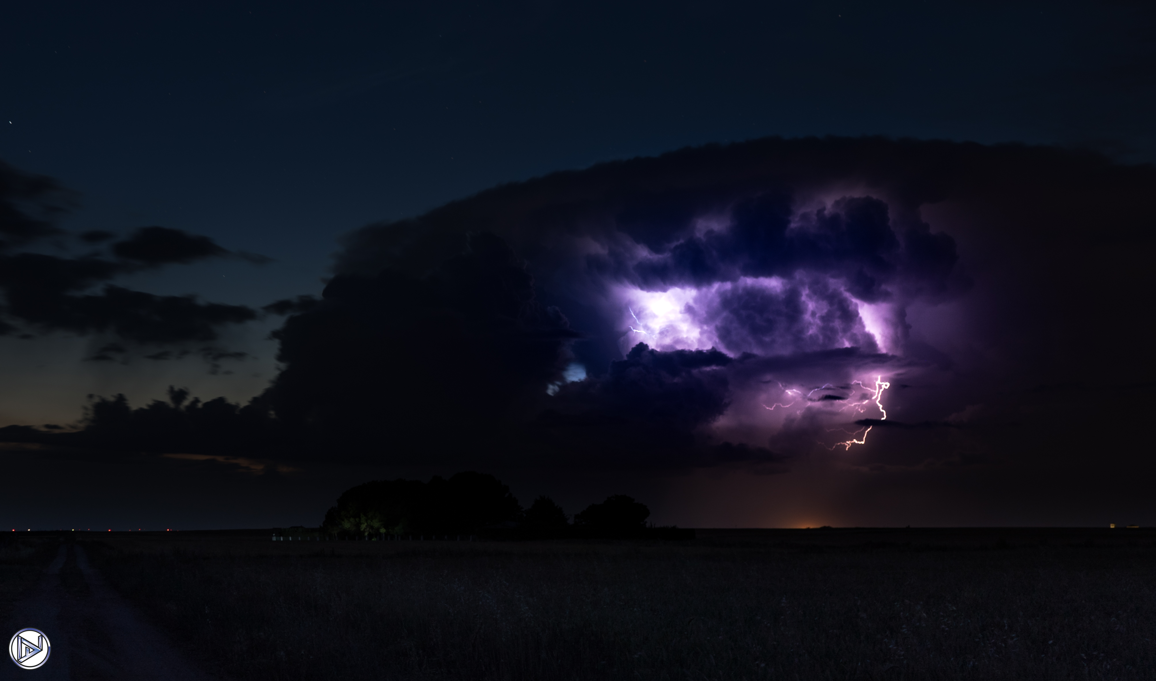 He florecido con tanto ruido, que el <i>trueno</i> me habita la piel...